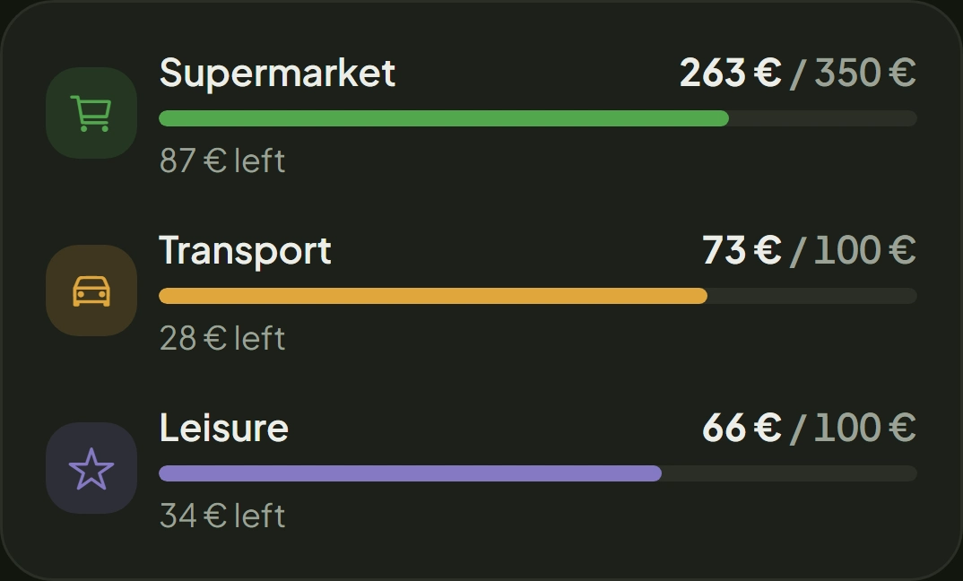 Category limits: groceries 263 of €350, transport 73 of €100, leisure 66 of €100.